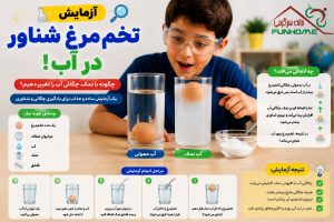 آزمایش تخم‌مرغ شناور در آب 🥚
